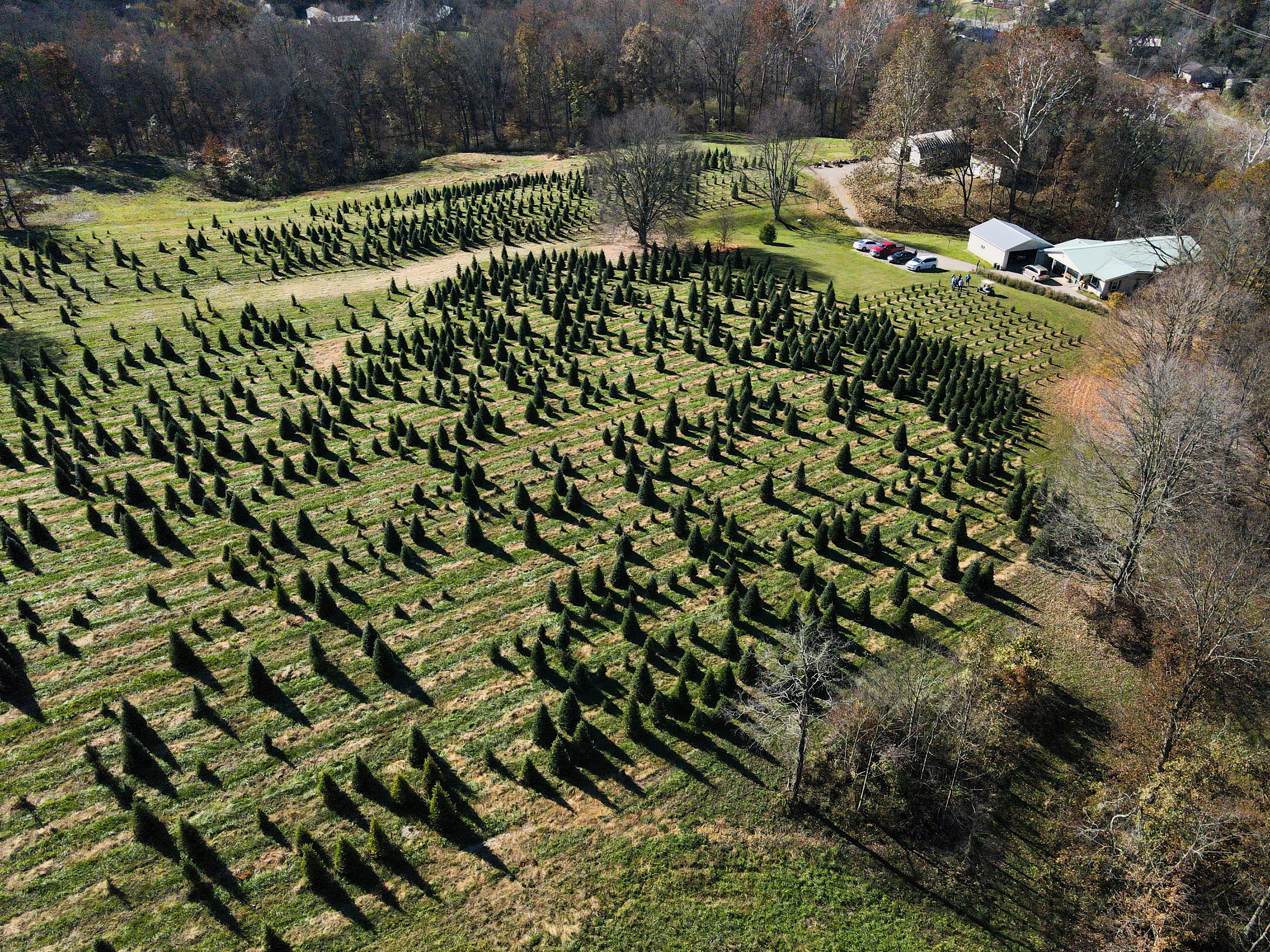 Drone shot from Eric Downard