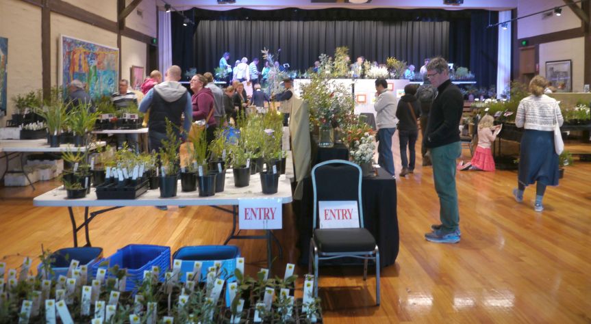 P1190619 cropped Resized