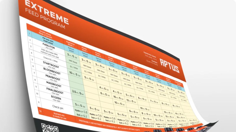 Education Aptus Usa - Classic Vintage Image - 8K