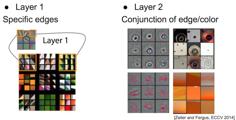 Nn Variants Slides - Best Gradient Illustrations in High Resolution