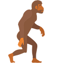 evolve-2
