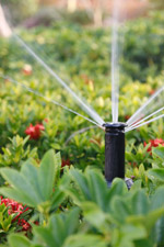 irrigation-supplies