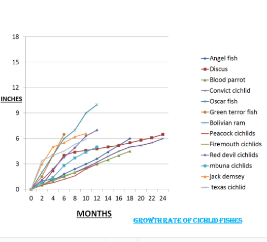 Here's what the terms mean — and how they relate to each other. How Fast Do Cichlids Grow In Aquarium Aqua Life Expert