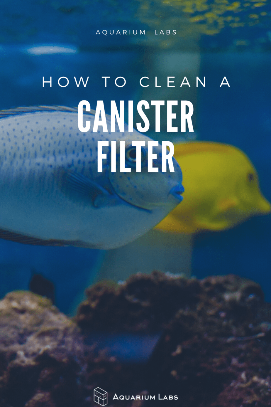 How Often To Clean Canister Filter What You Must Know Aquarium Labs Again with heavily stocked you may have to clean more often.