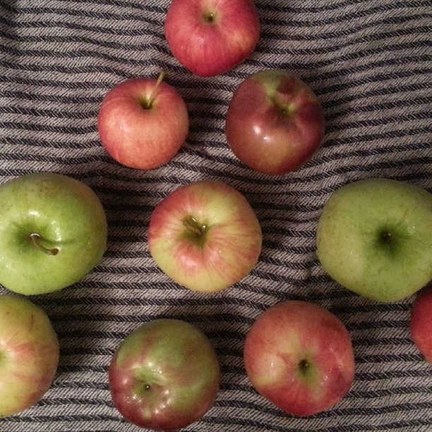 My aunt's brother-in-law knows someone who owns an apple farm. Every fall, we look forward to biting into several of these delicious fruits!