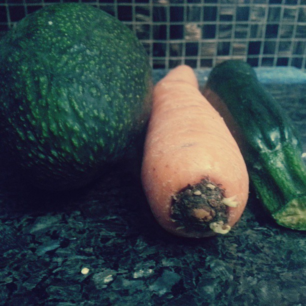 Fresh vegetables collected this summer.