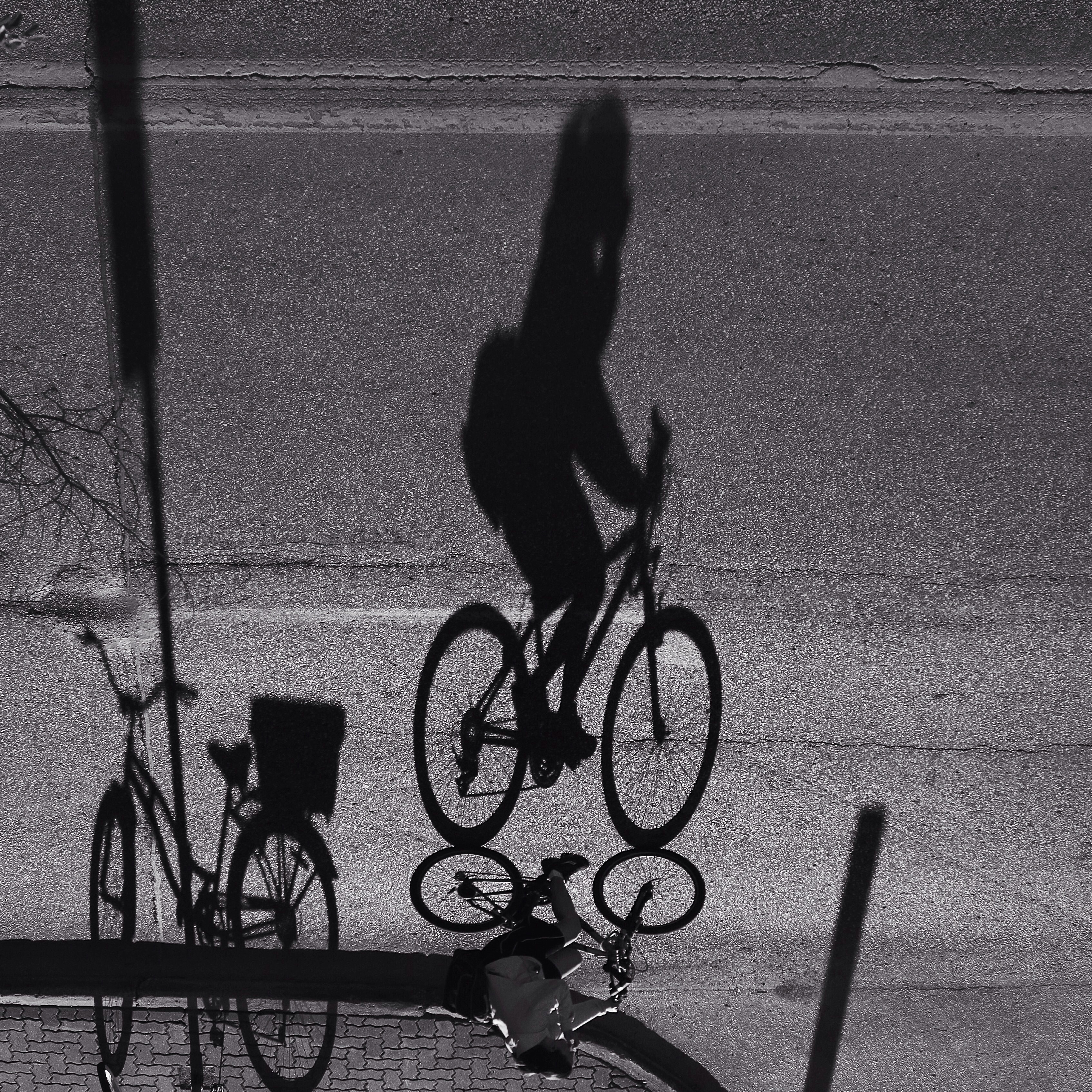 A cyclist commutes on Kennedy Avenue. Photo by: Gage Fletcher. @gage.fletcher/@everydaywinnipeg