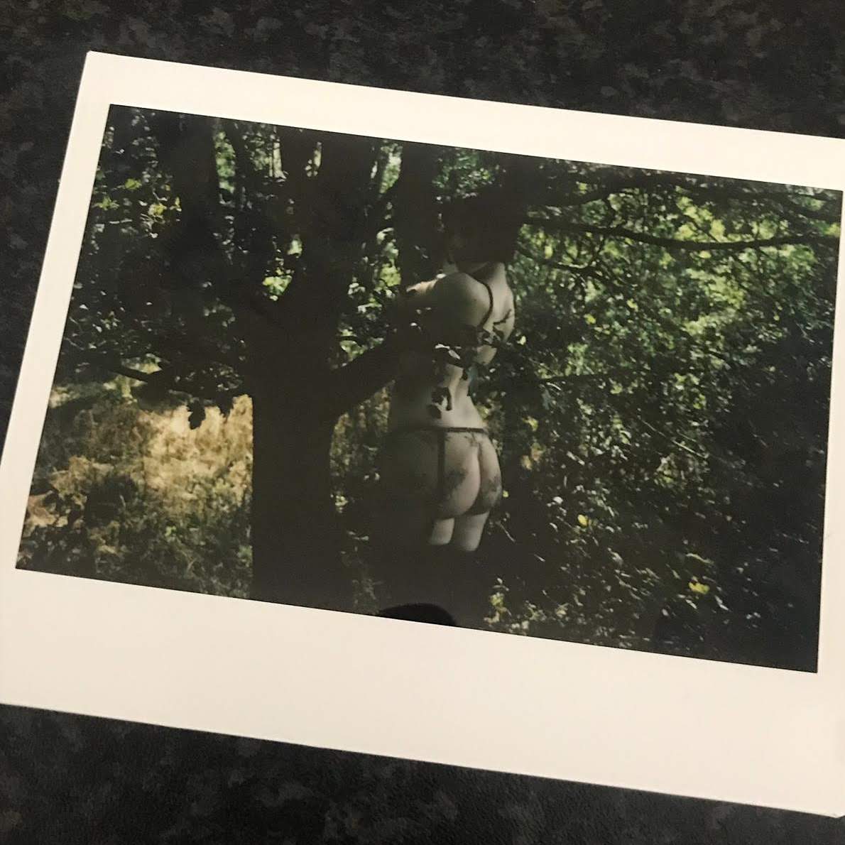 polaroid robertson