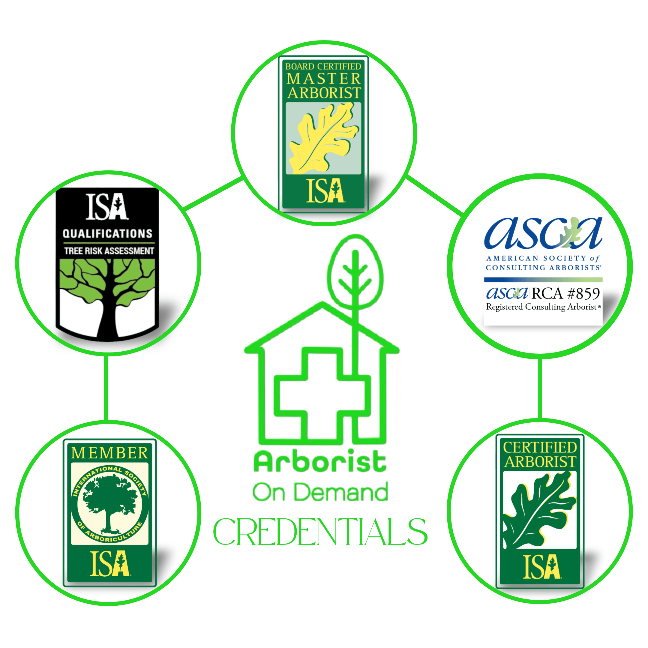 Arborist On Demand logo surrounded by certifications, including ISA Certified Arborist, ISA Tree Risk Assessment Qualification, ISA Board Certified Master Arborist, ASCA Registered Consulting Arborist, and ISA Member. Arborist credentials ISA Certified Arborist Tree Risk Assessment Qualification Board Certified Master Arborist ASCA Registered Consulting Arborist Professional tree care Expert tree consulting ISA membership Certified tree expert Arborist on Demand certifications