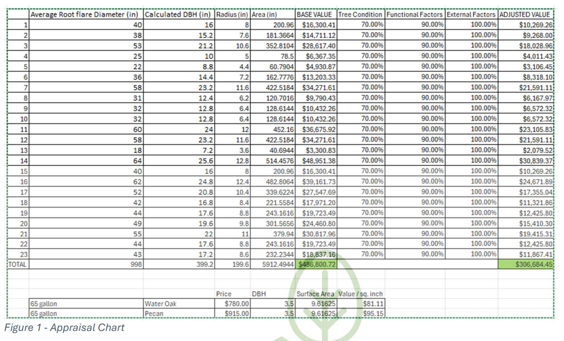 Spreadsheet showing a detailed tree appraisal chart with calculated DBH, area, base value, and adjusted value for multiple trees. tree appraisal, tree valuation, trunk formula method, CTLA tree appraisal, arborist tree valuation, ISA tree appraisal, tree insurance claim, tree damage compensation, DBH calculation, tree condition rating, landscape value assessment, tree replacement cost, arborist report, urban forestry appraisal