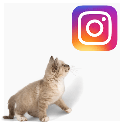 Arbor view animal hospital