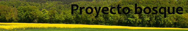 Proyecto bosque copia