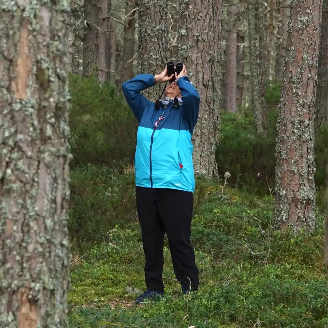woman bird watching in pine forest during a tour