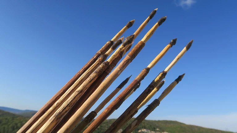 Have France’s First Arrows Been Found?