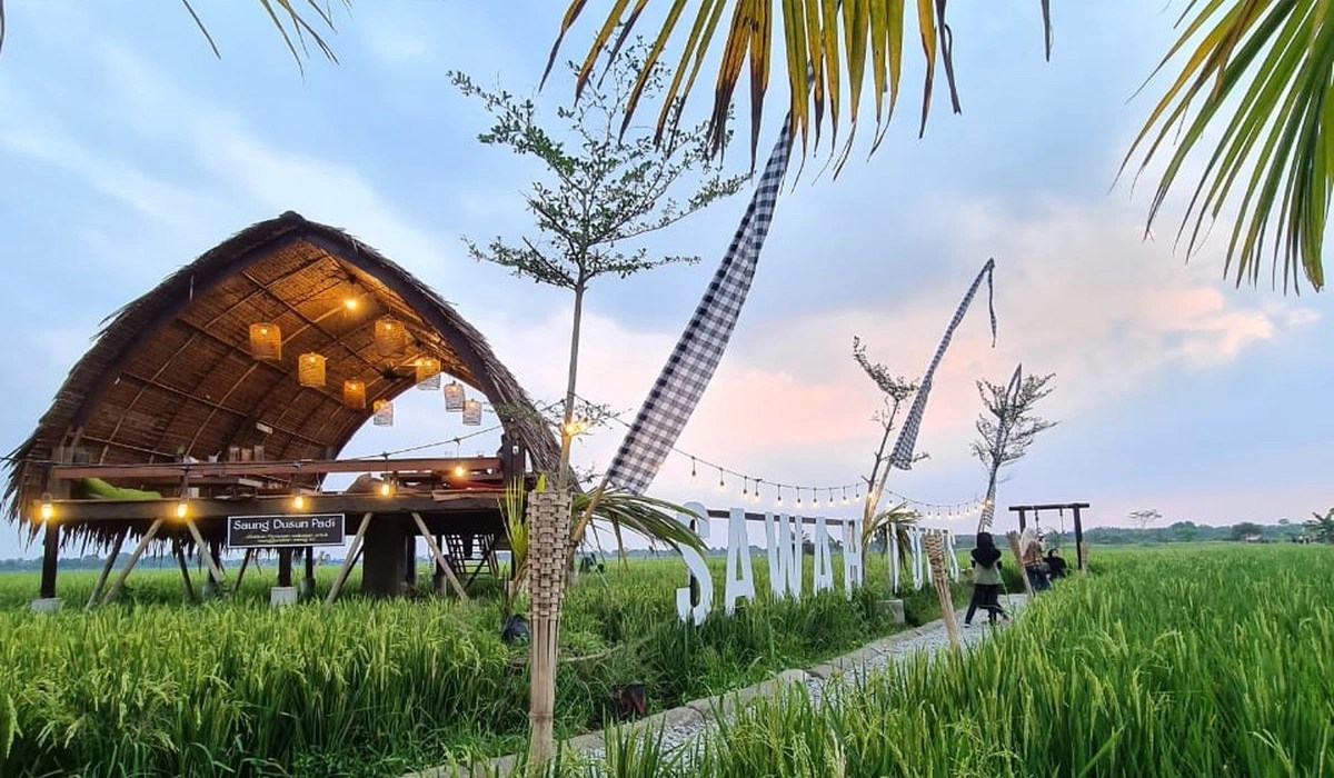 Sawah Lukis Binjai: Harmoni Seni, Alam, dan Pertanian
