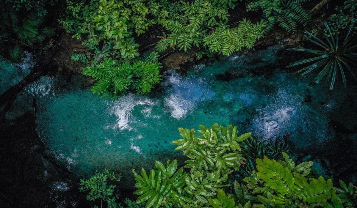 Menelusuri Keindahan Kali Biru, Sungai Eksotis Di Pelosok Raja Ampat