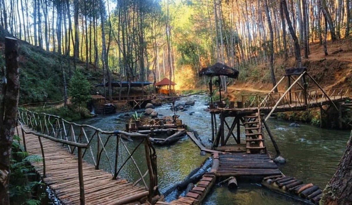 Hutan Pinus Rahong Bandung, Surga Alam dan Spot Instagramable