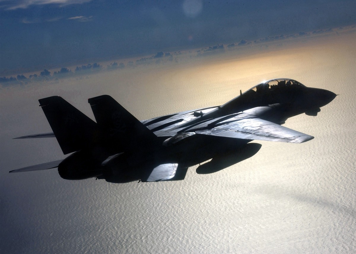 primer microprocesador F-14 Tomcat