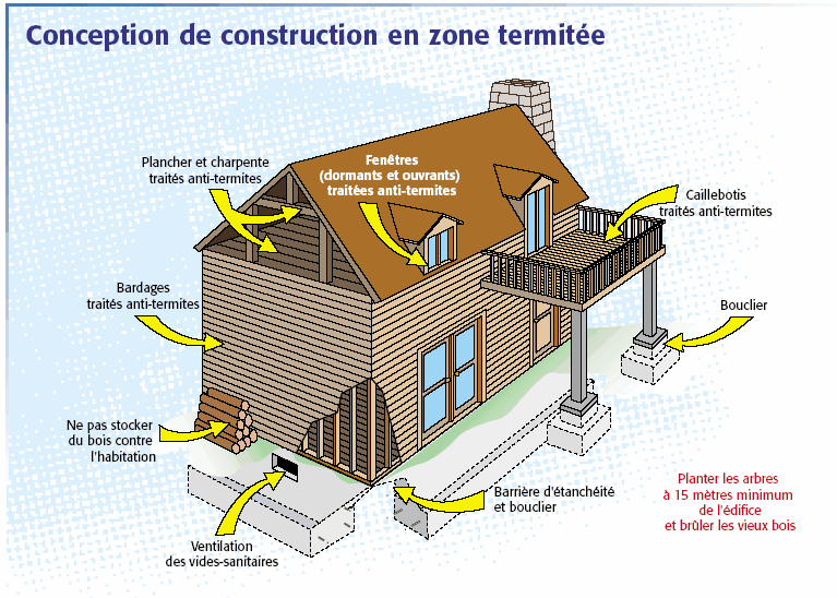 Construction Maison Bois En Zone Termite Entretien Bois Exterieur