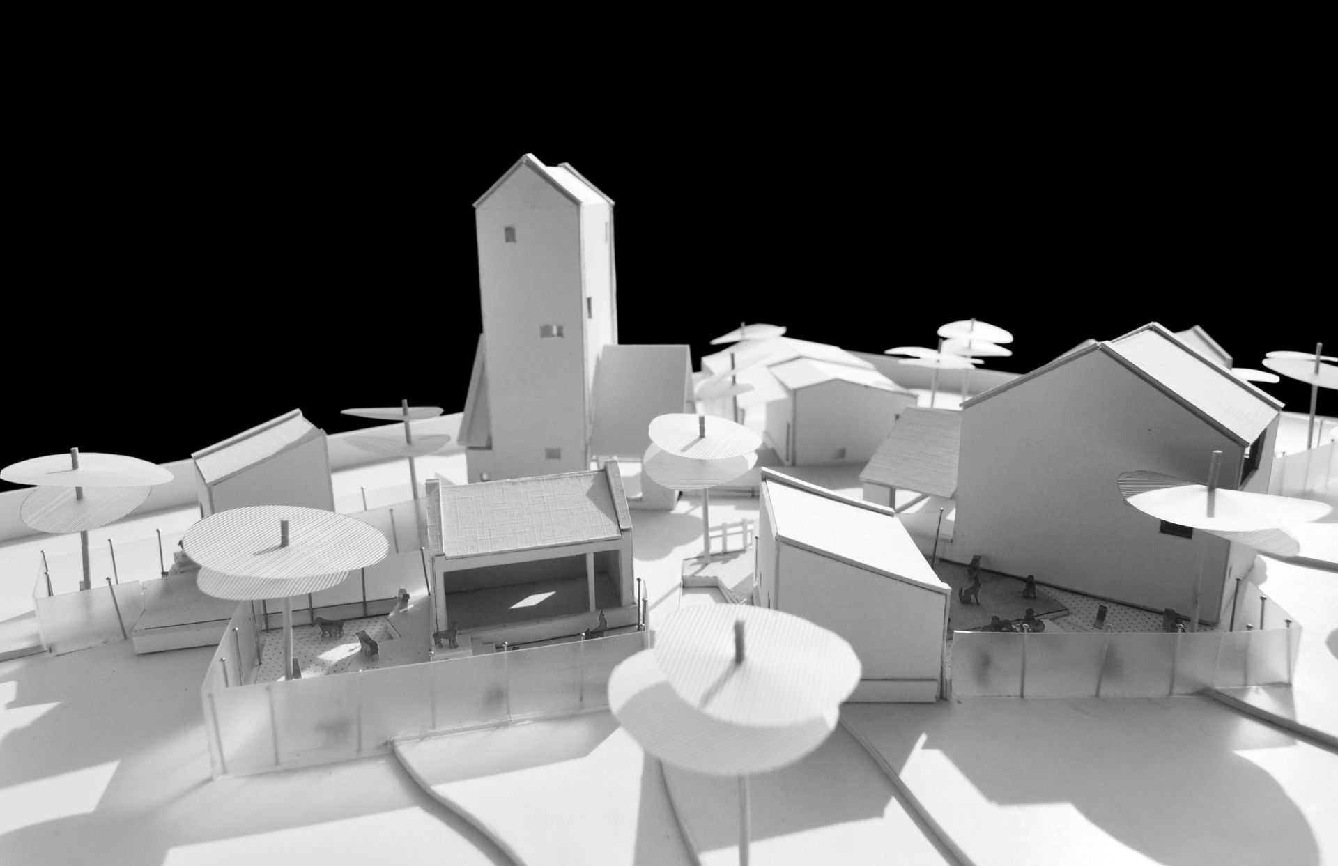 Tigi Tigi at Dhamini by Shroffleon with Kayzad Shroff