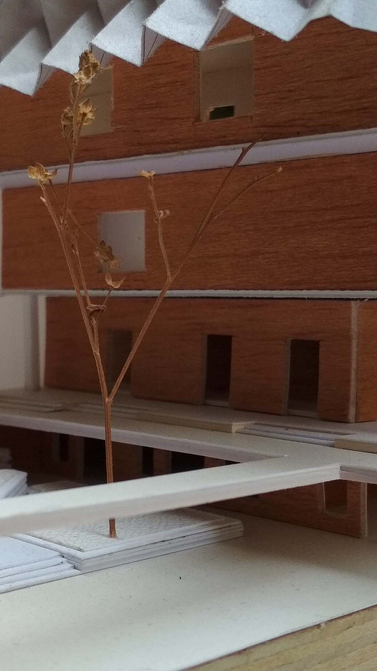 B.Arch Thesis: Urban Food Hub, INA At New Delhi by Vipanchi Handa, SCHOOL OF PLANNING AND ARCHITECTURE, DELHI