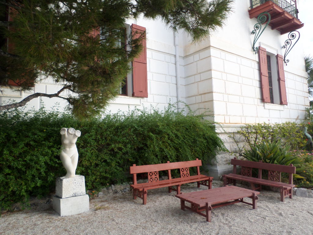 SAMSUNG CAMERA PICTURES