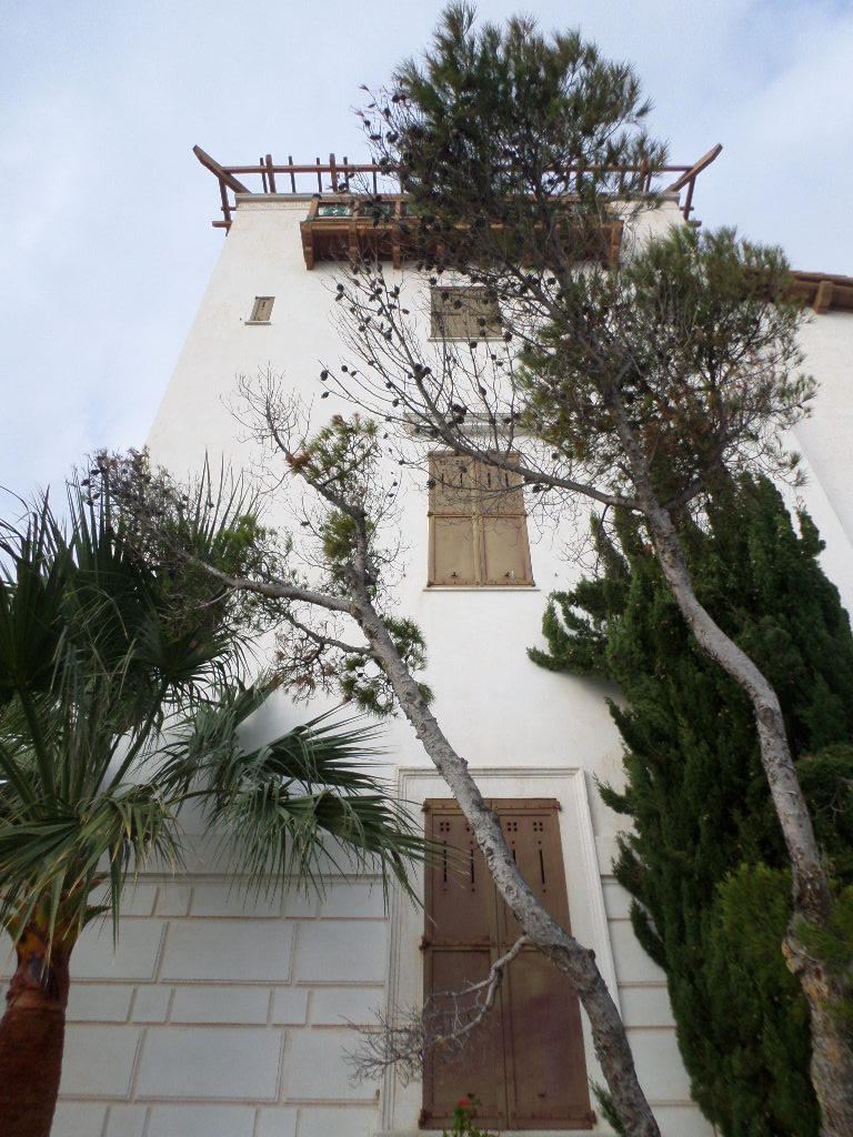 SAMSUNG CAMERA PICTURES