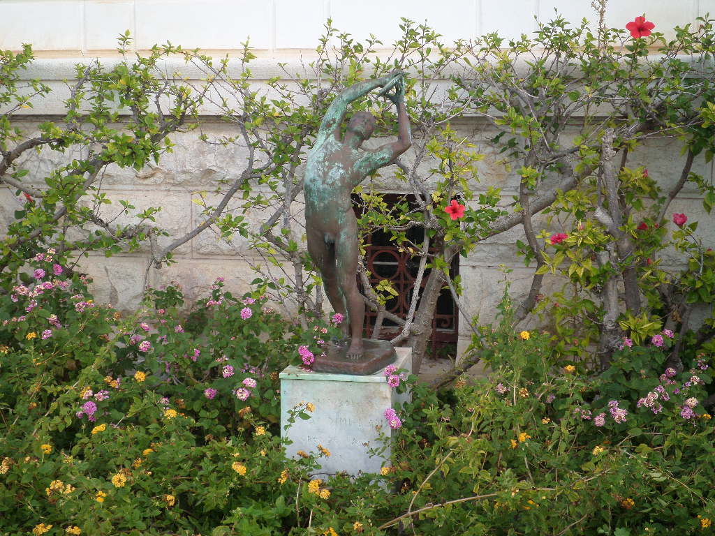 SAMSUNG CAMERA PICTURES