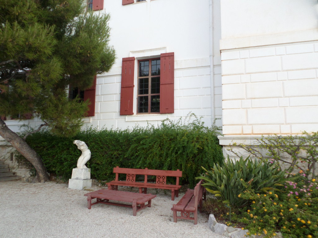 SAMSUNG CAMERA PICTURES