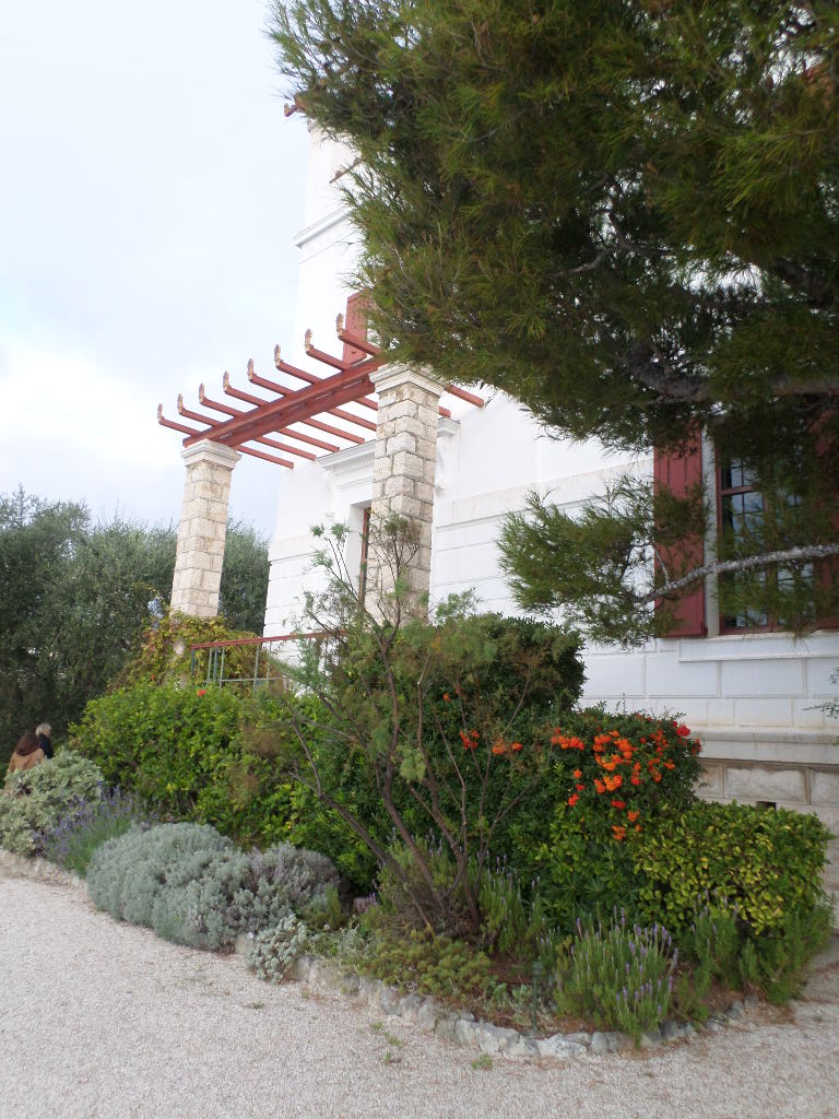 SAMSUNG CAMERA PICTURES