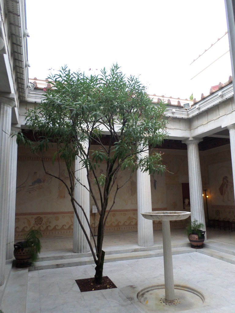 SAMSUNG CAMERA PICTURES