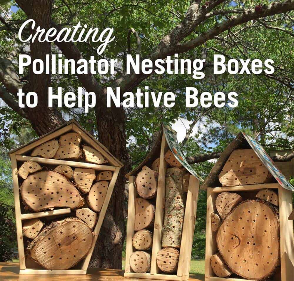 Creating Pollinator Nesting Boxes to Help Native Bees