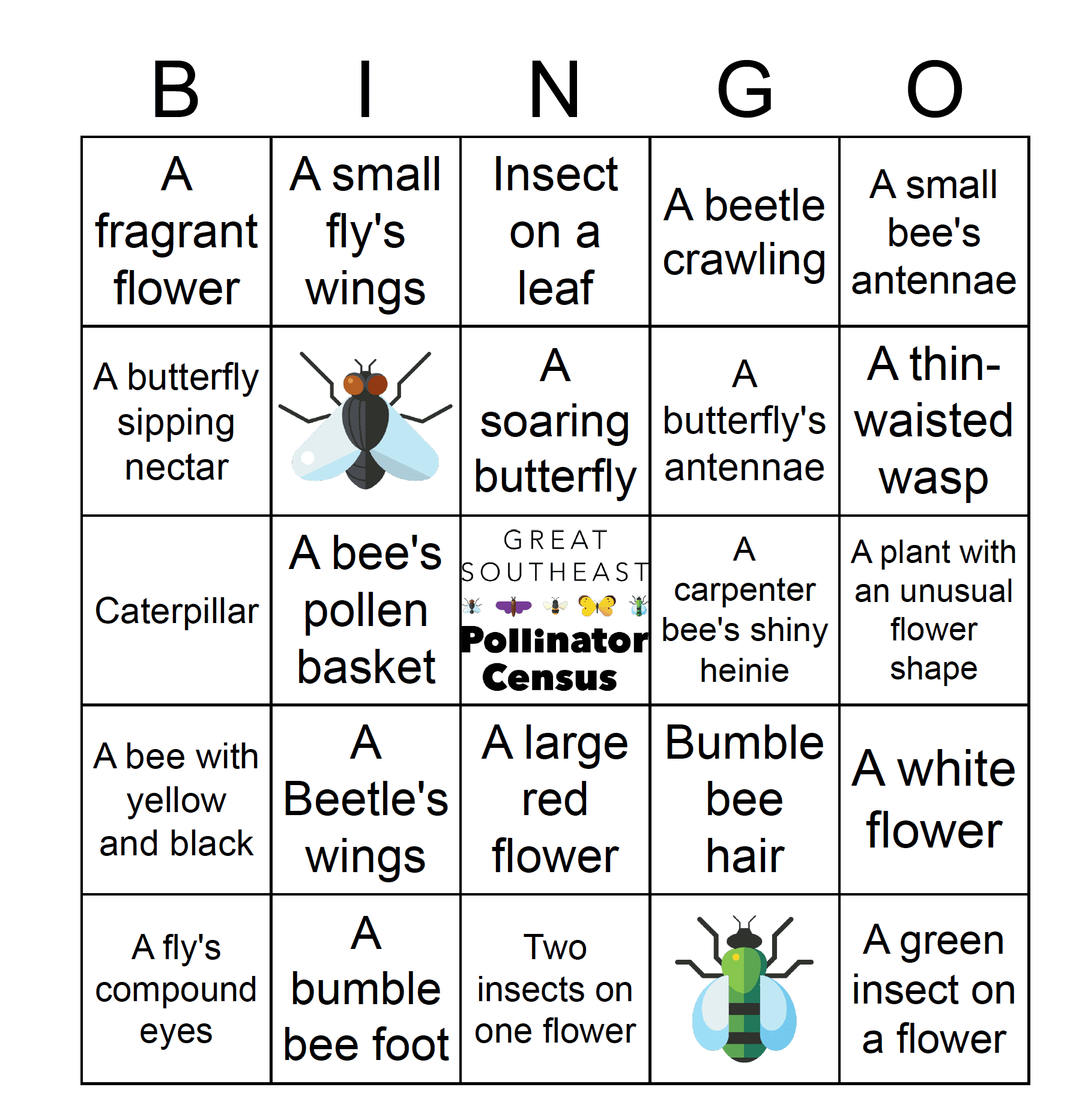 BINGO Card for insect game