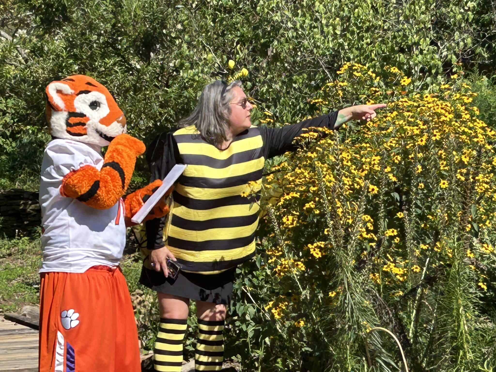 Patricia Whitener with Clemson cub mascot looking at pollinators