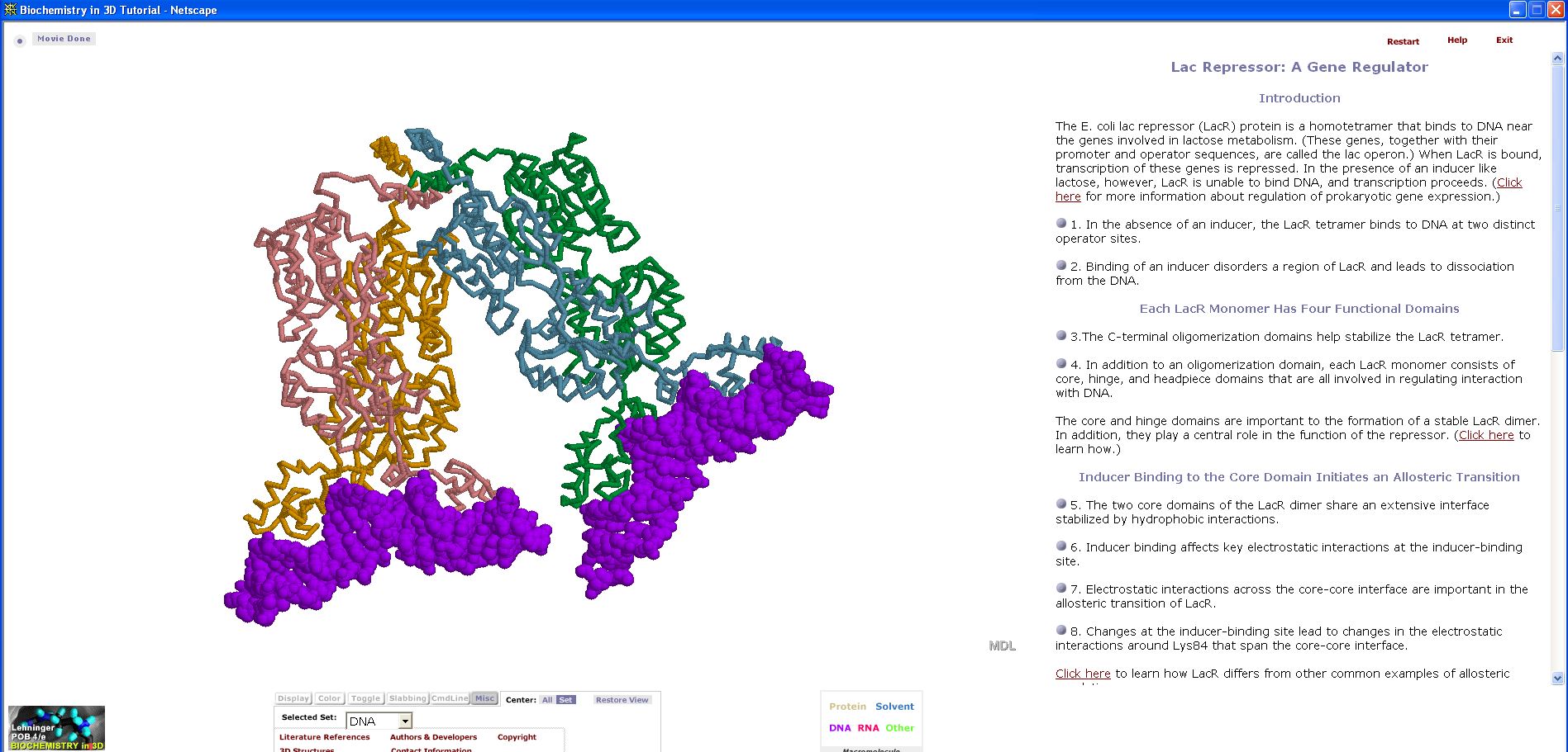 Lehninger principles of biochemistry, edisi 6 oleh: Instructor S Resource Cd Rom To Accompany Lehninger Principles Of Biochemistry Fourth Edition W H Freeman And Company Free Download Borrow And Streaming Internet Archive