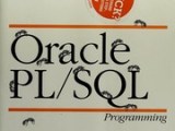 Oracle Pl Sql Programming Feuerstein Steven Free Download Borrow
