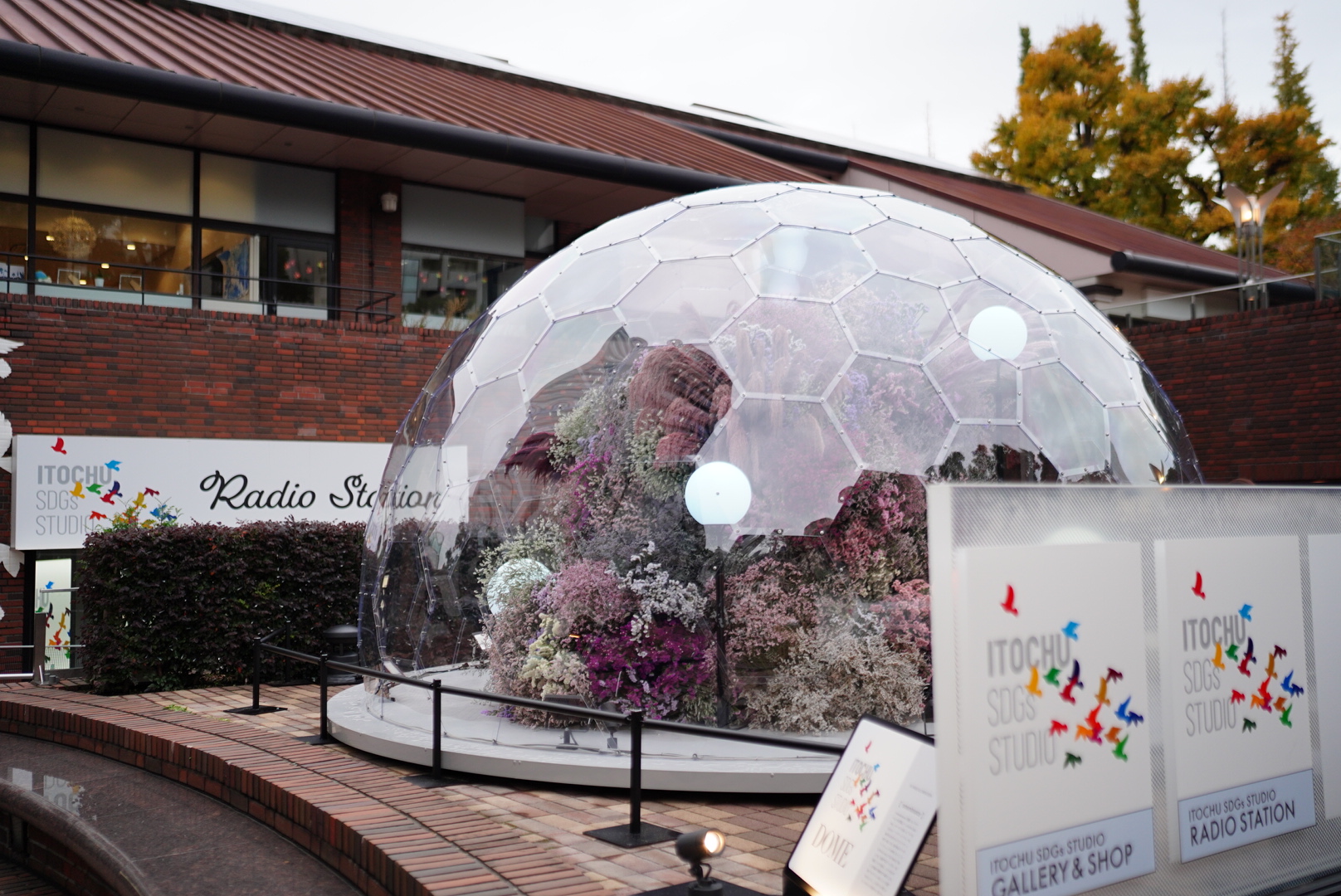 ITOCHU SDGs STUDIOフラワードームが展示中です。
