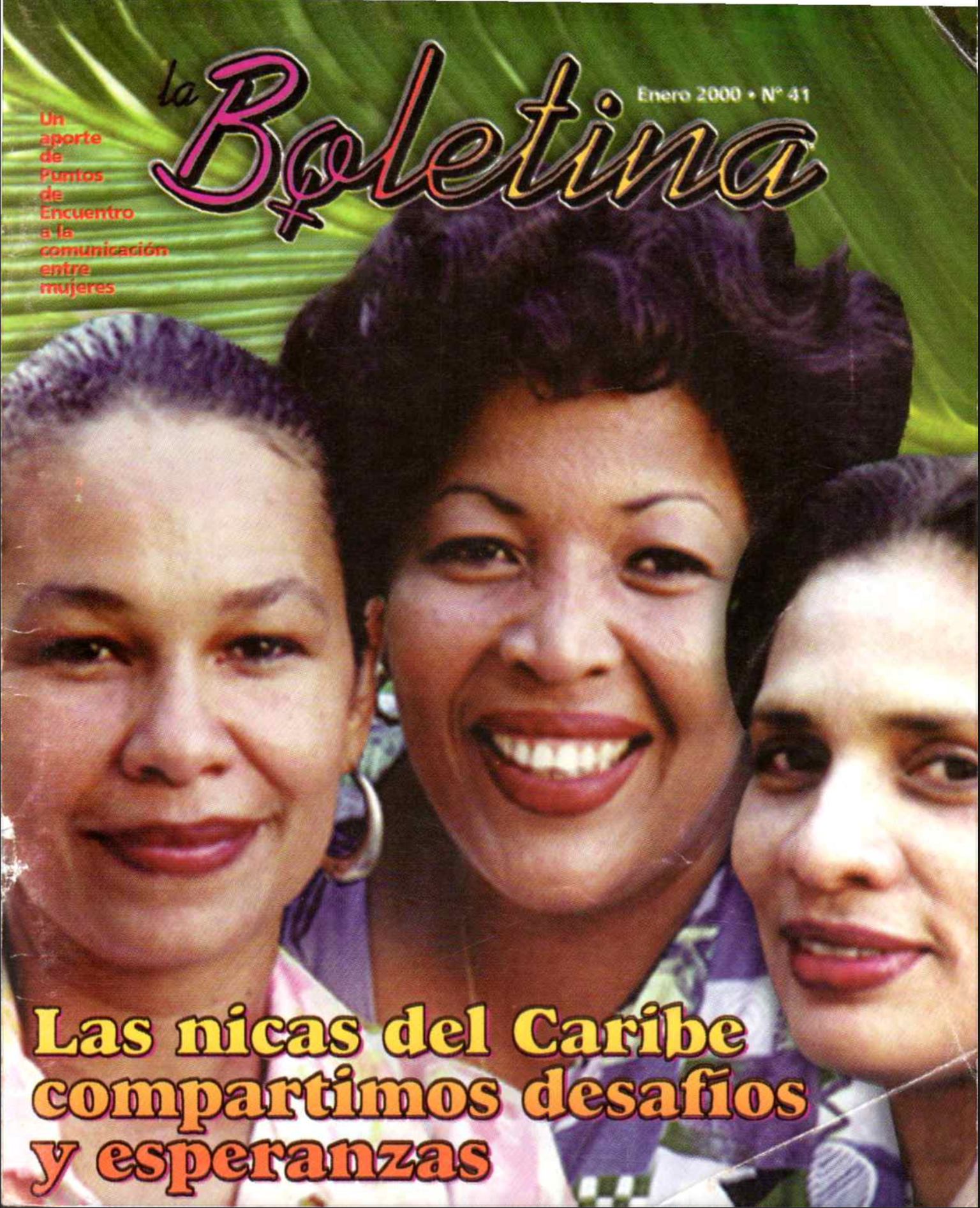 Portada 33