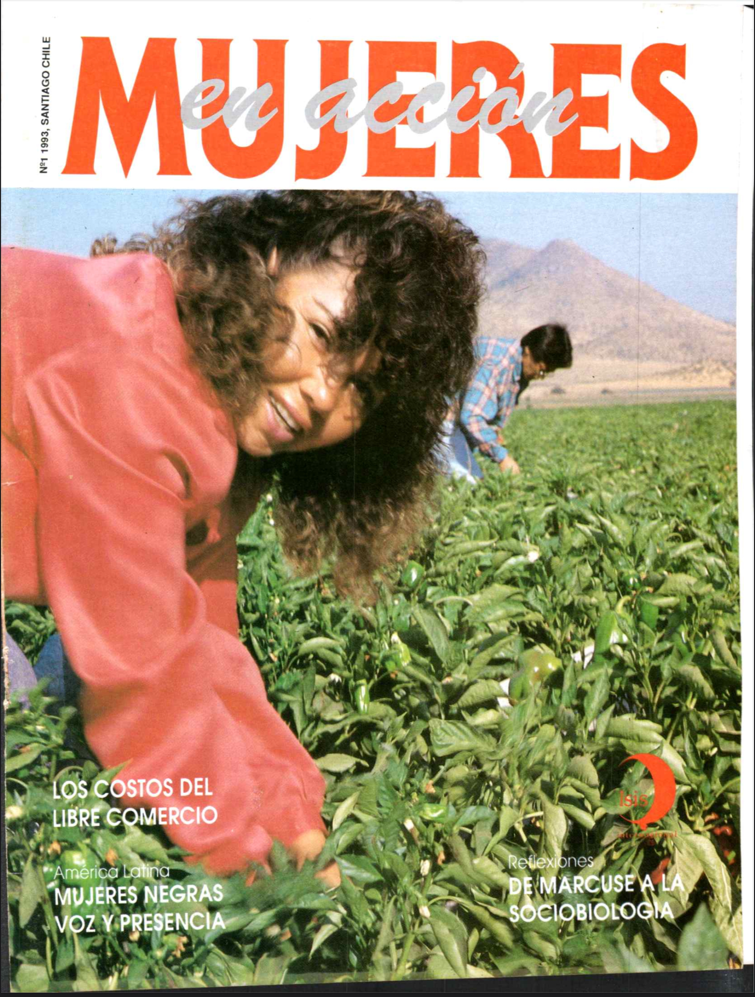 Portada 1