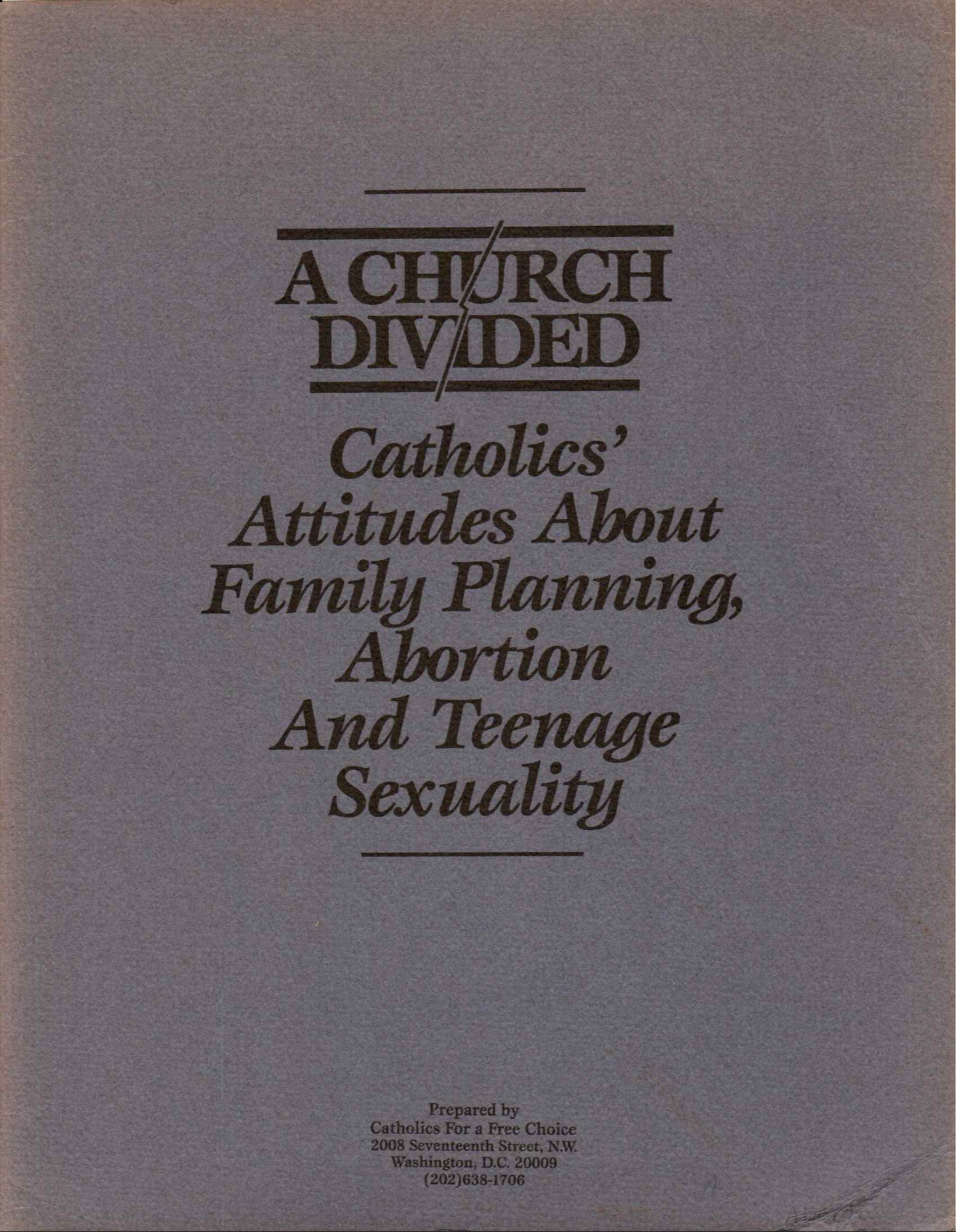 A Church Divided