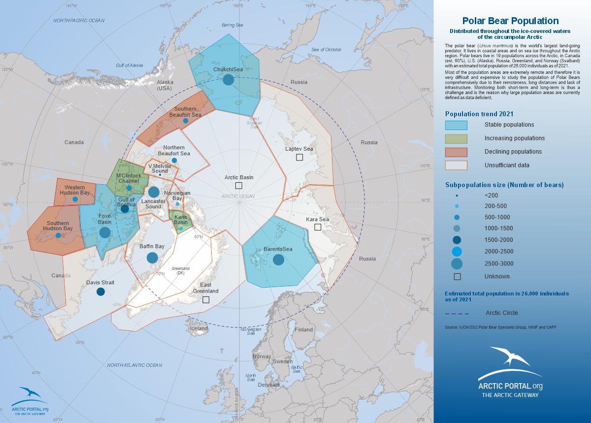 Polar Bear Habitat 6.2 