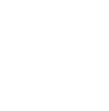 logo light
