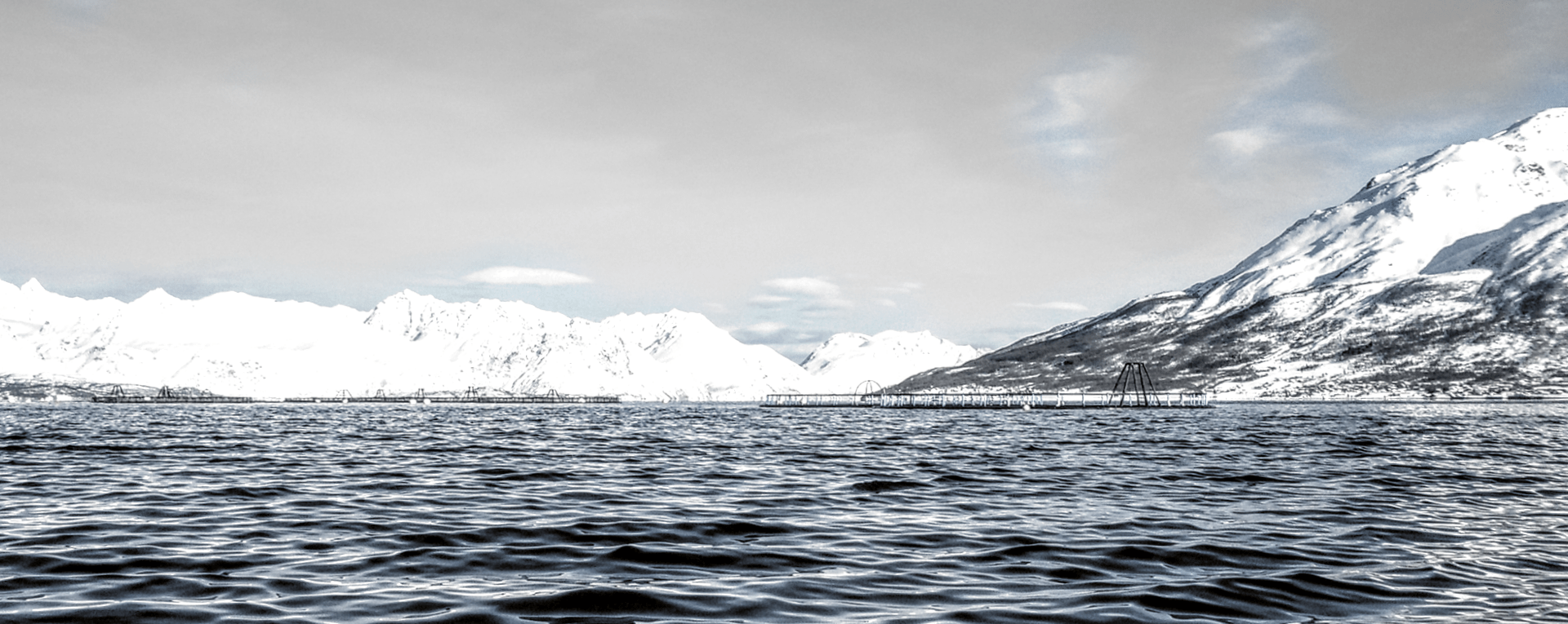 Cages with farmed Atlantic salmon in Gáivuotna-Kåfjord (Photo: Camilla Brattland).