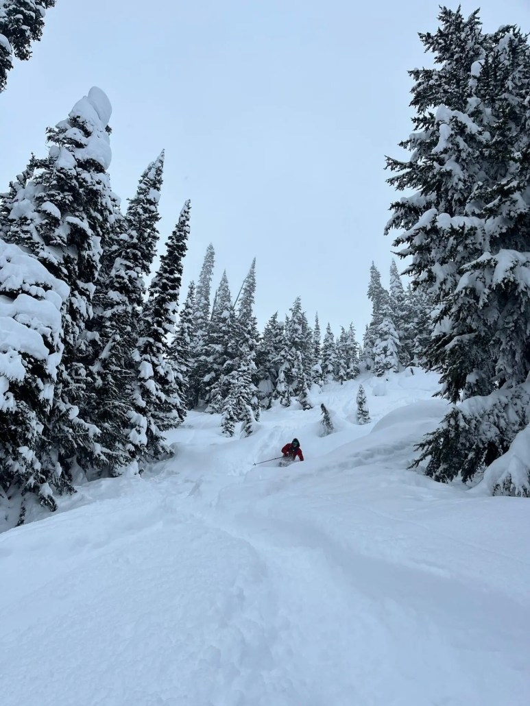 rogers pass, ski touring