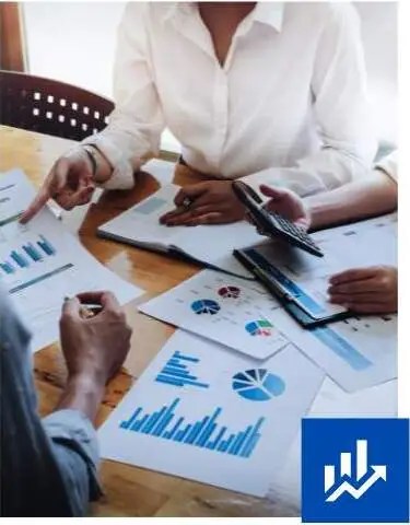 Typical Challenges of Companies with General Ledger ARDEM solution