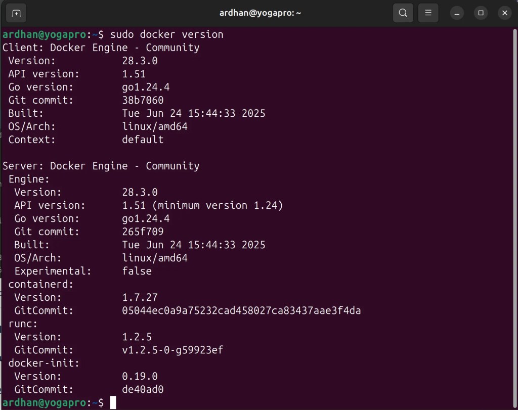 sudo docker version
