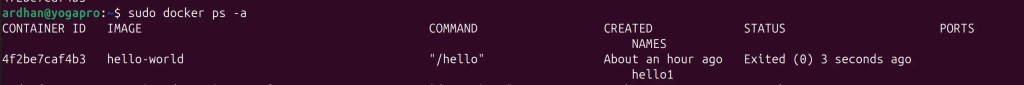 sudo docker ps -a