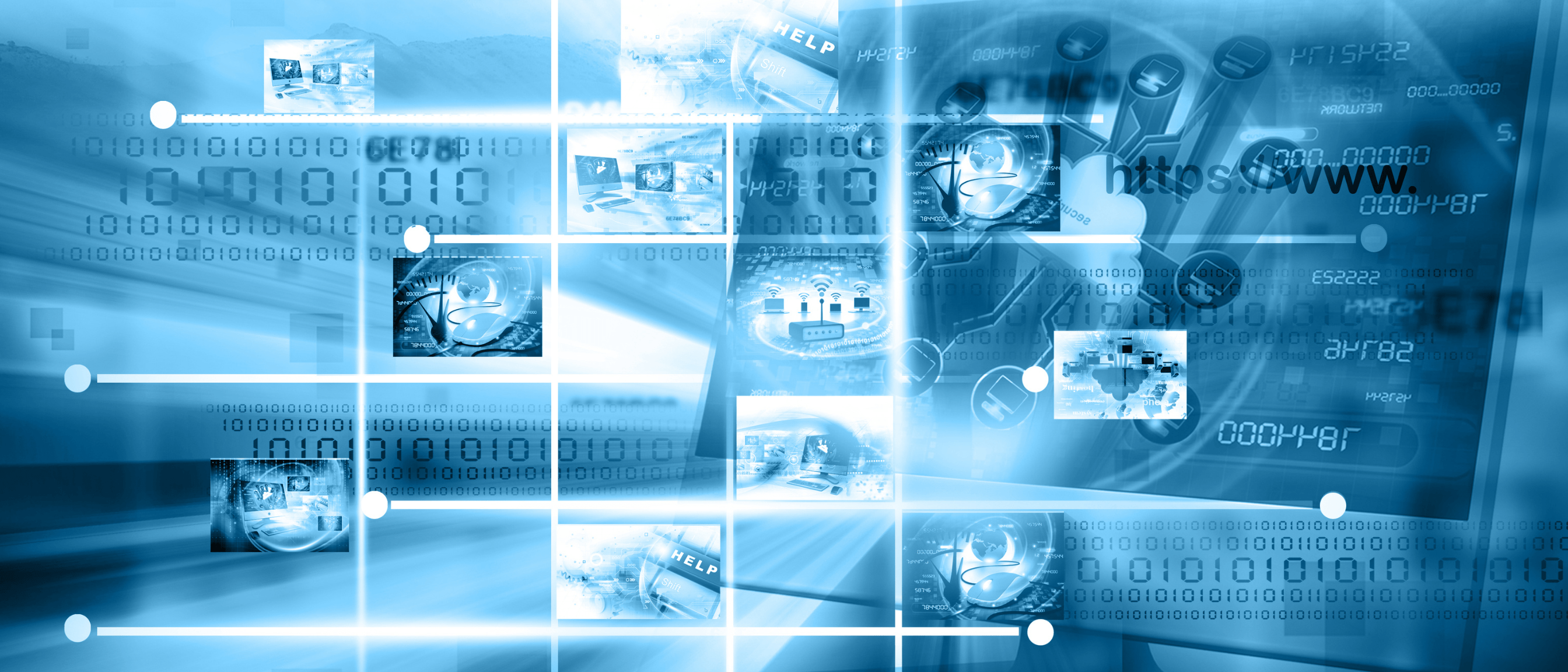 Disaster Management Software