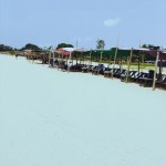 Lagos Unveiled: Unmasking the Enigma of Tarkwa Bay [Areyouinlagos?]