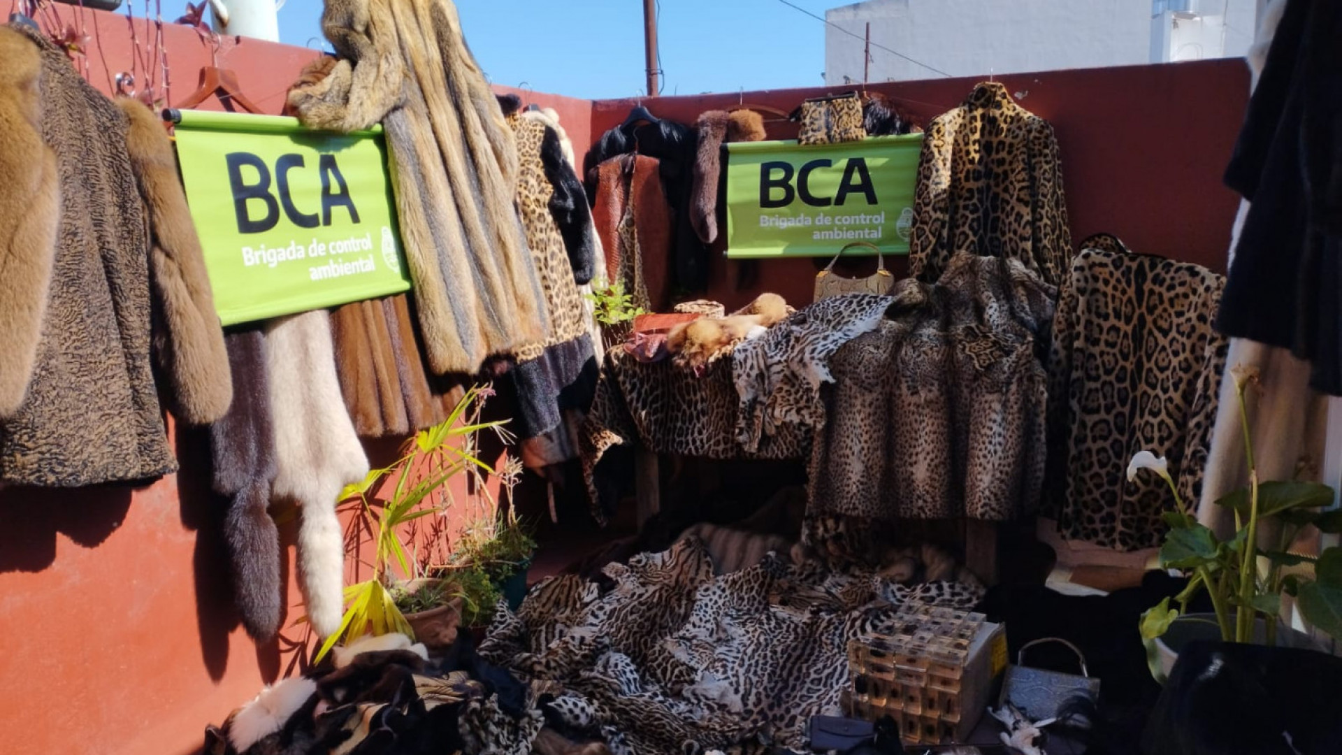 noticiaspuertosantacruz.com.ar - Imagen extraida de: https://argentina.gob.ar/noticias/la-subsecretaria-de-ambiente-y-la-policia-federal-incautaron-mas-de-200-prendas-de-pieles